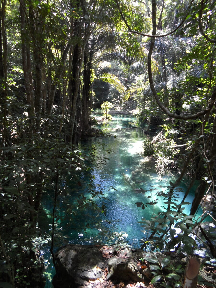 Turquoise Trip in Moyo Island by kamazka (10)