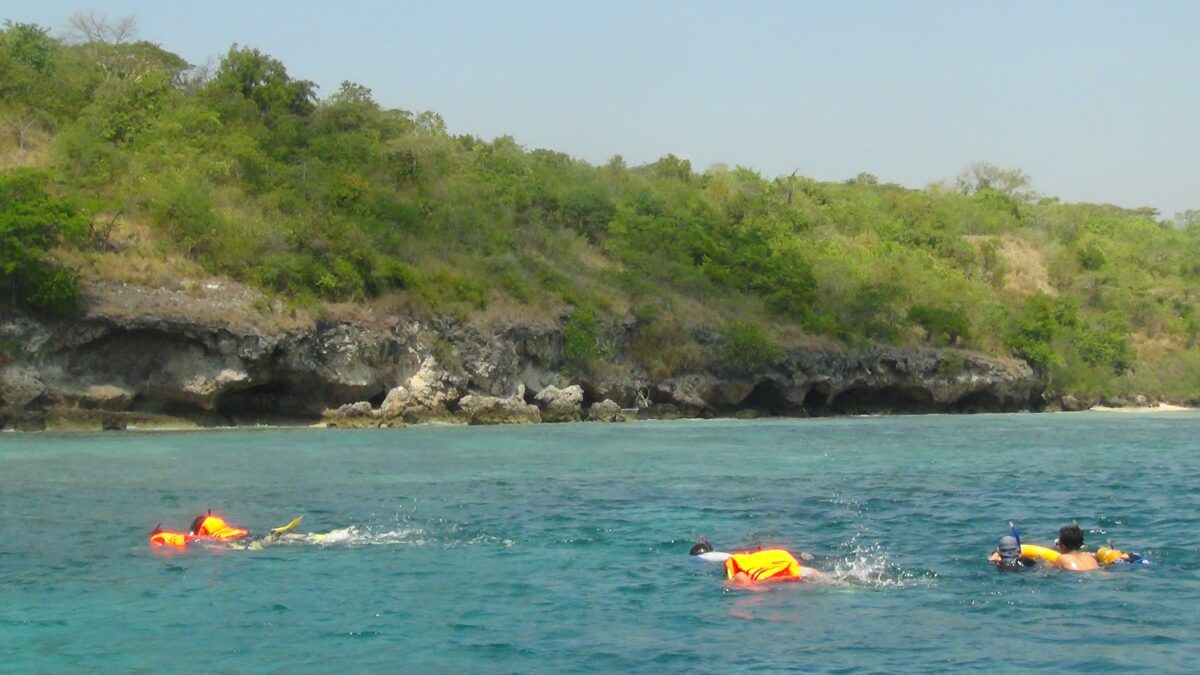 Snorkeling Rasa Diving Di Pulau Menjangan Bali Barat (4)